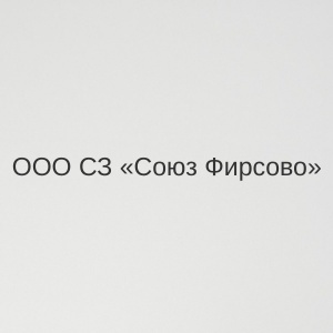 ООО СЗ «Союз Фирсово»